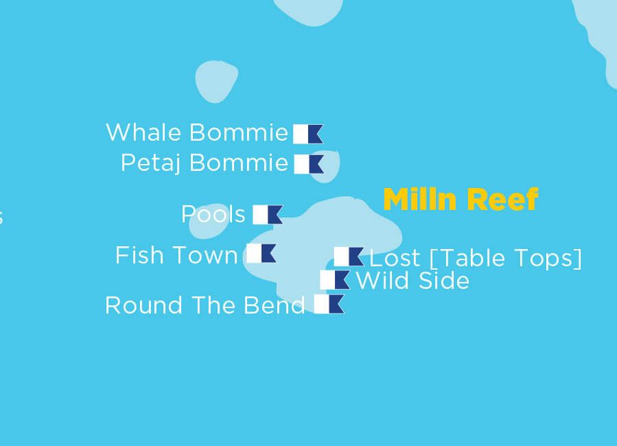 Milln Reef