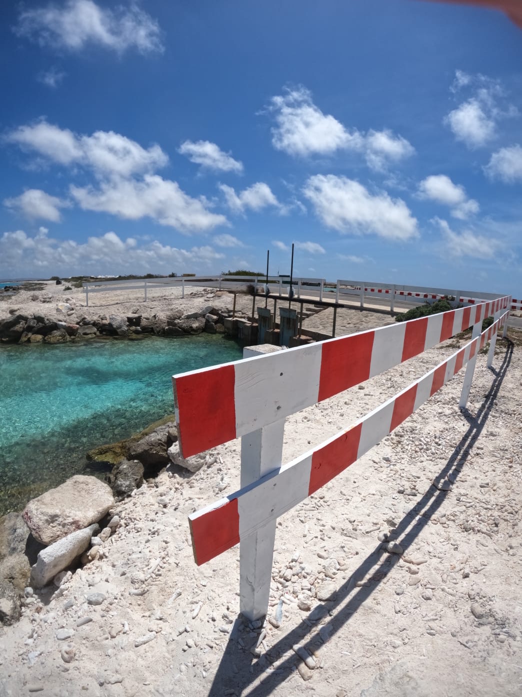 Tori's Reef photo 4