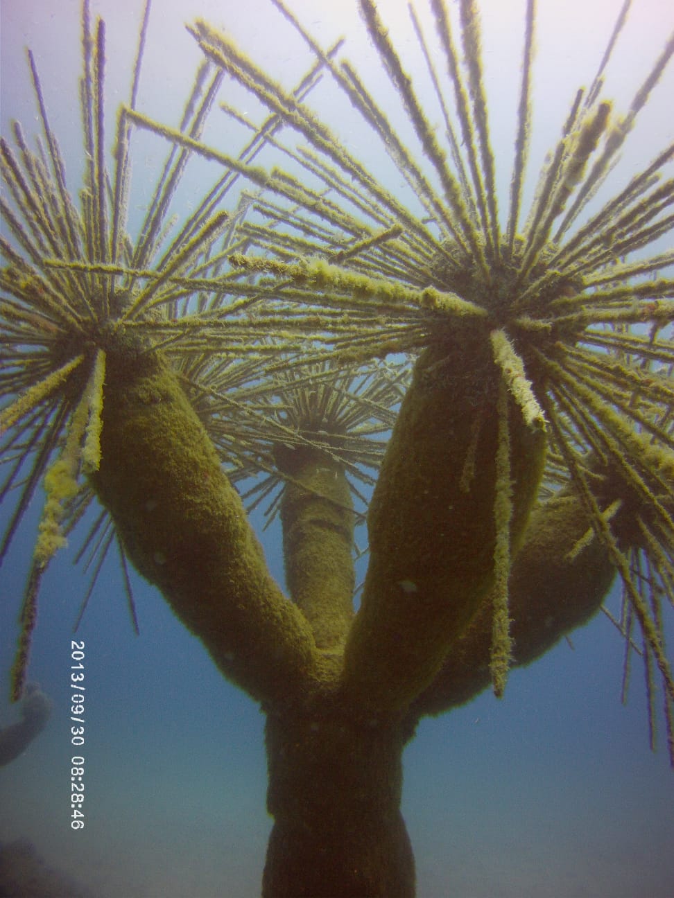 Museo Atlantico photo 7