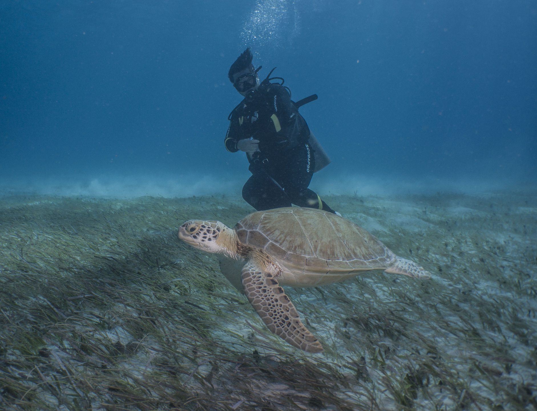 Chitales Reef photo 2