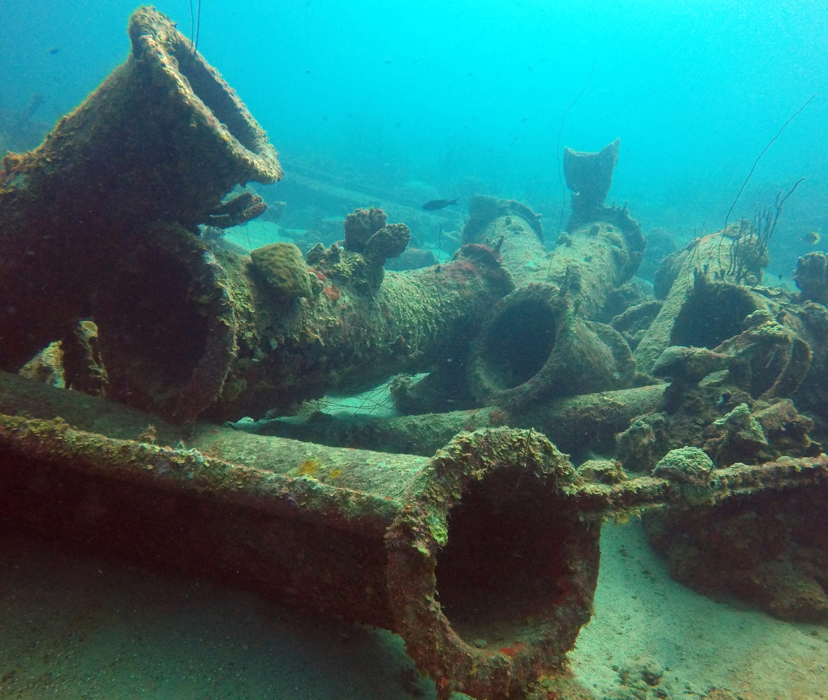 Car Pile (The Dive Bus House Reef) photo 4
