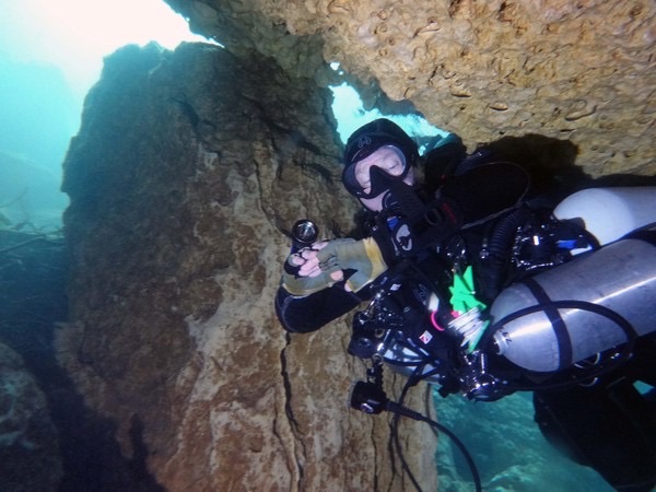 Ginnie Springs photo 8