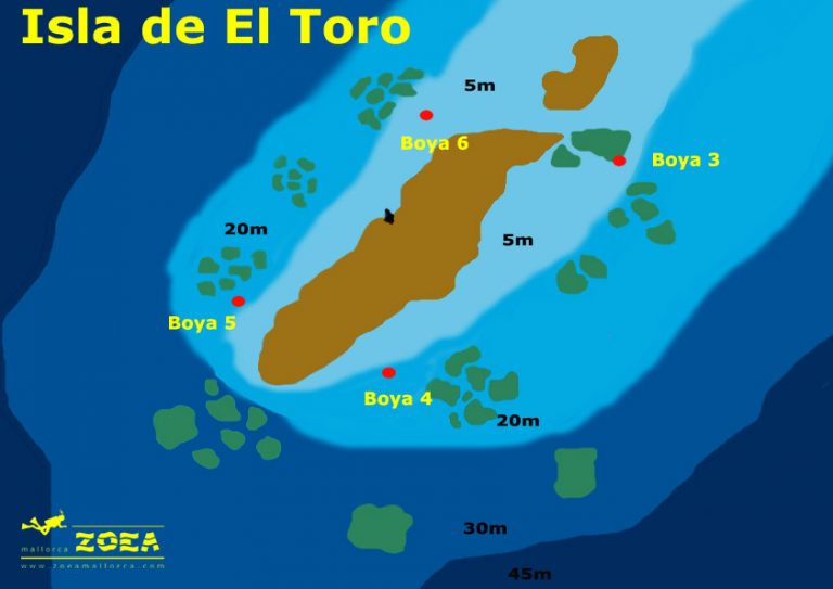 El Toro photo 2