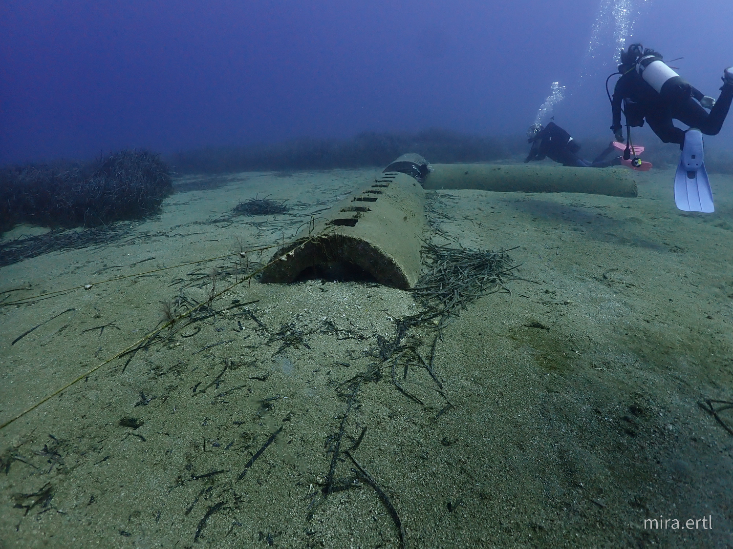 Artificial Reef photo 4