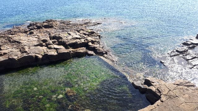 Browns Bay