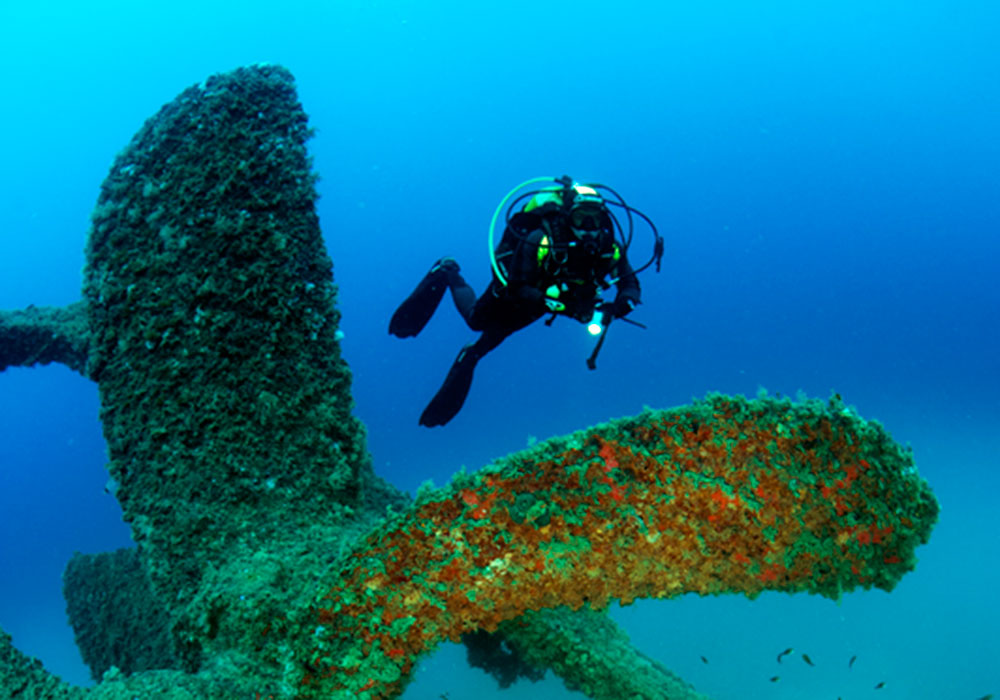 SS COILA