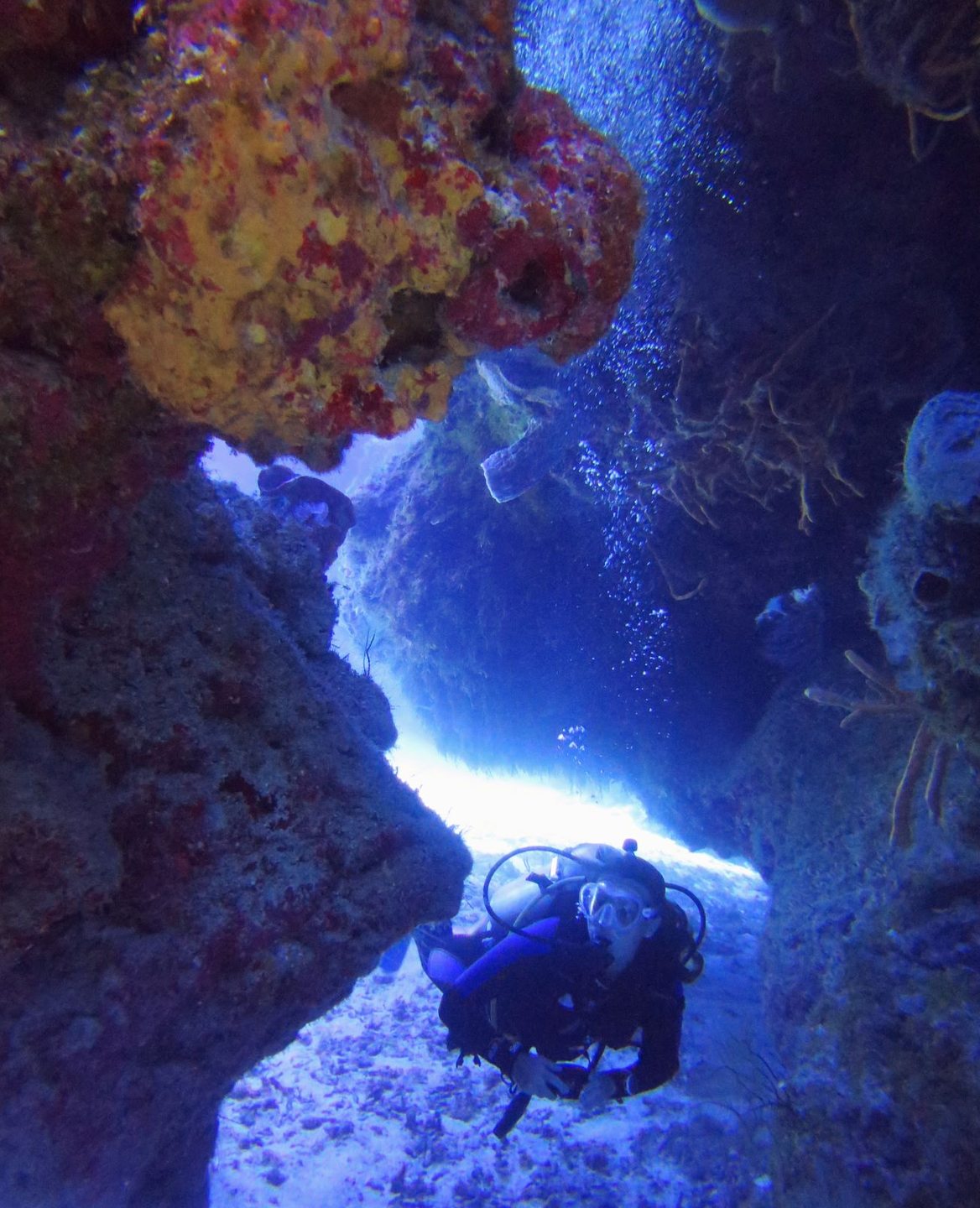 Paso de Cedral photo 4