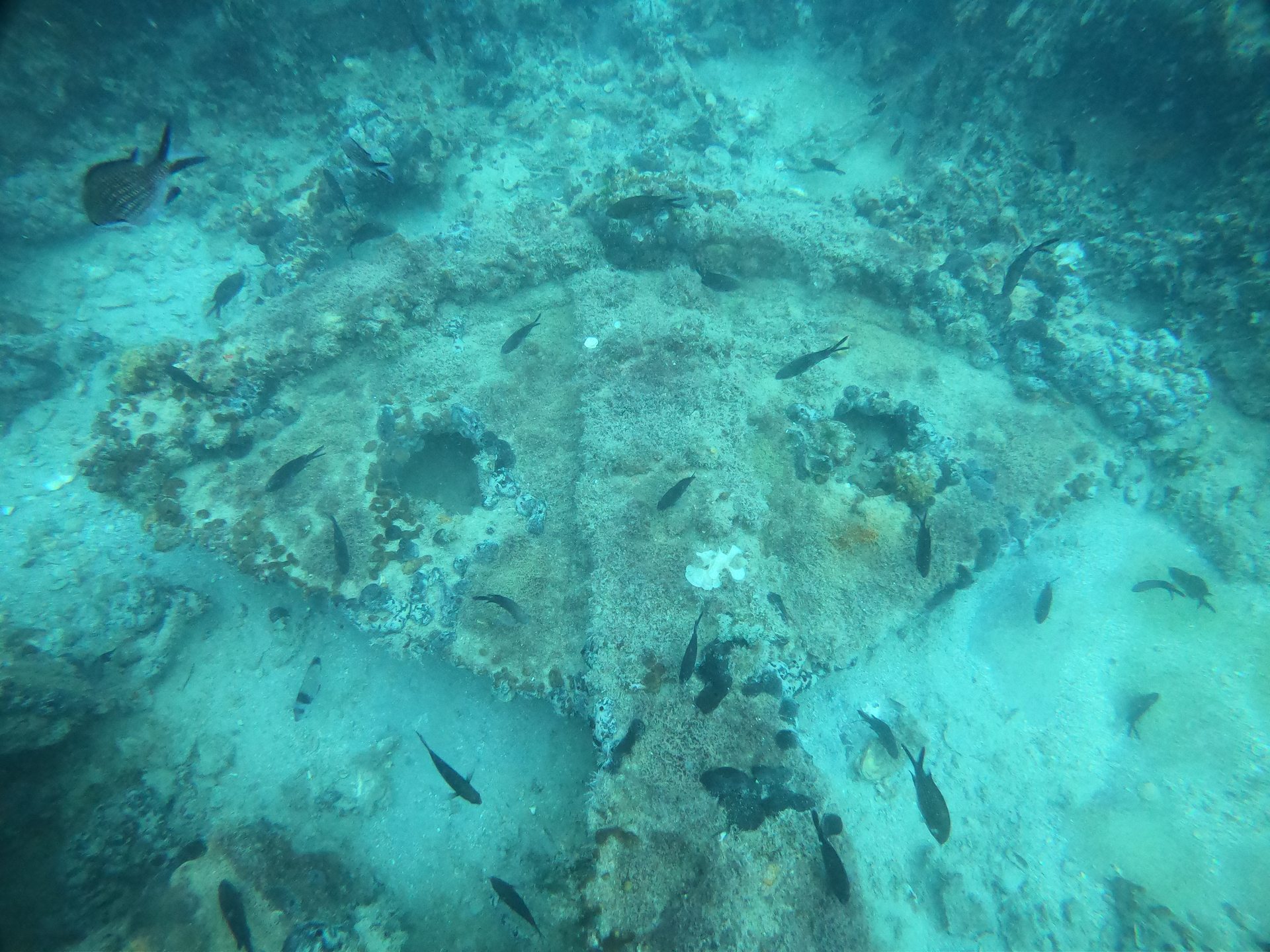 Shipwreck "Cretaland" photo 15