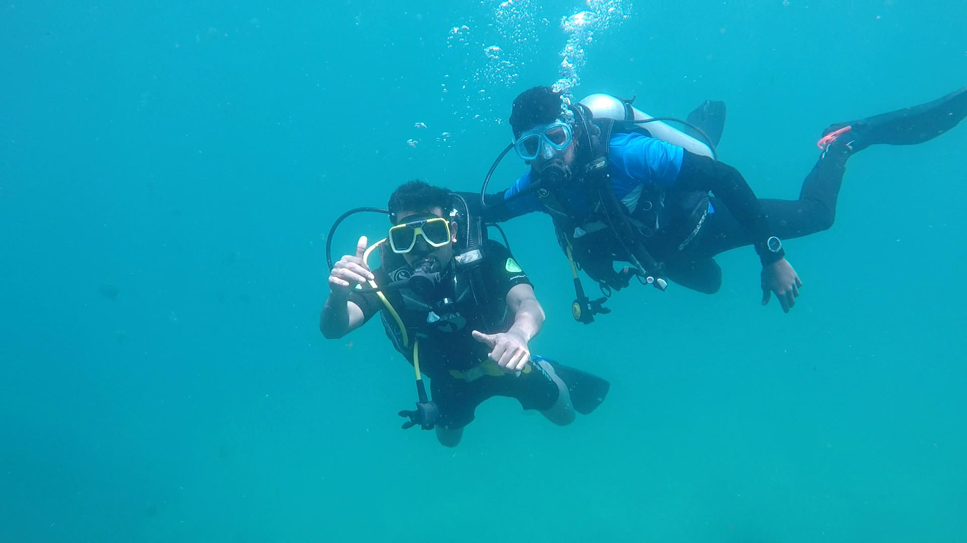 Puffer Paradise photo 2