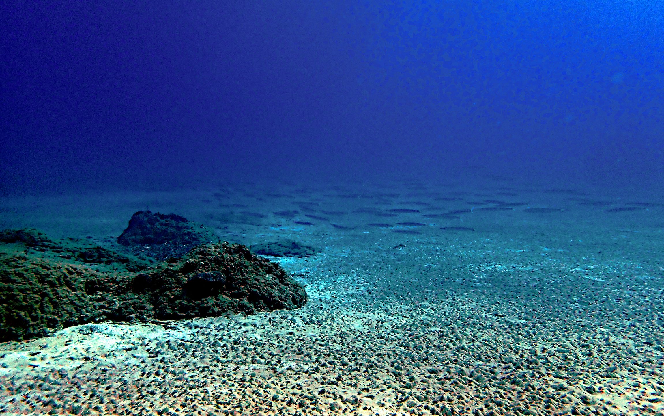 3 - ROCKS photo 15