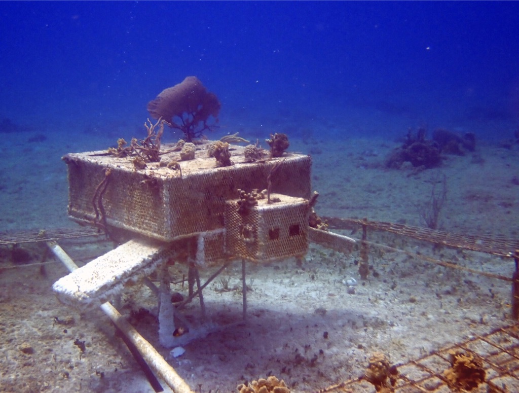 Villa Blanca Shallows photo 5