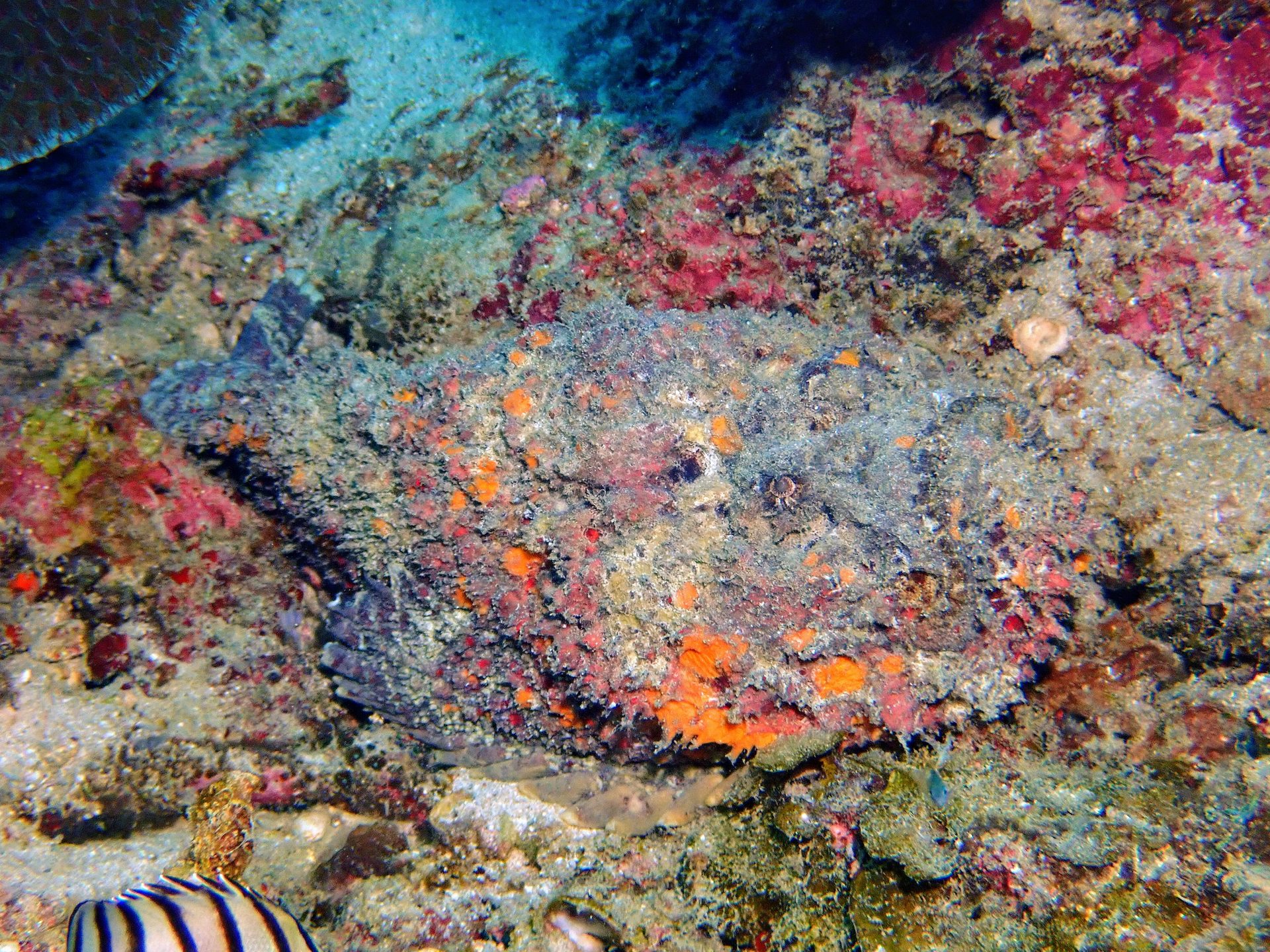 Batu Malang photo 3