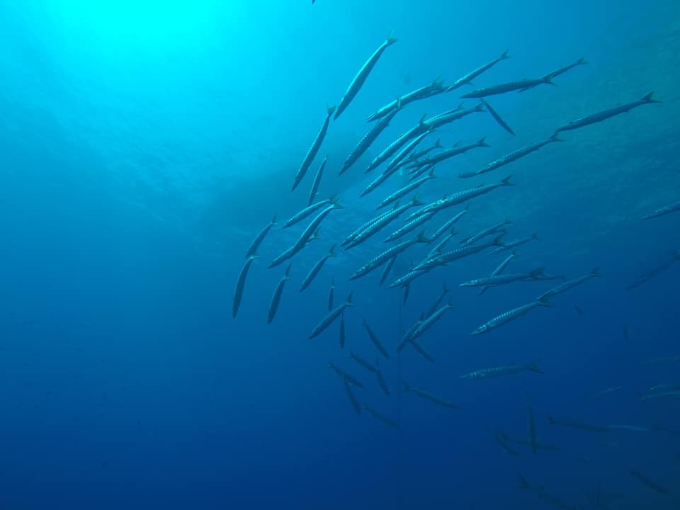 Scoglio d'Inferno photo 2