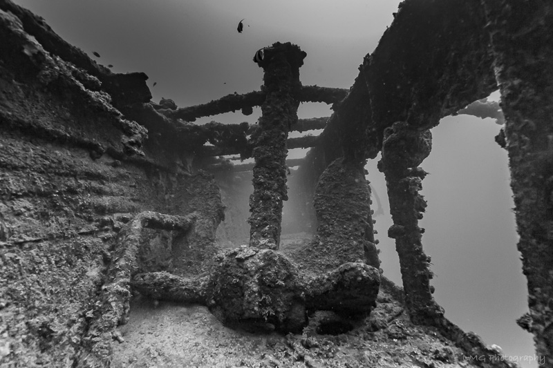 SMS Cormoran photo 8