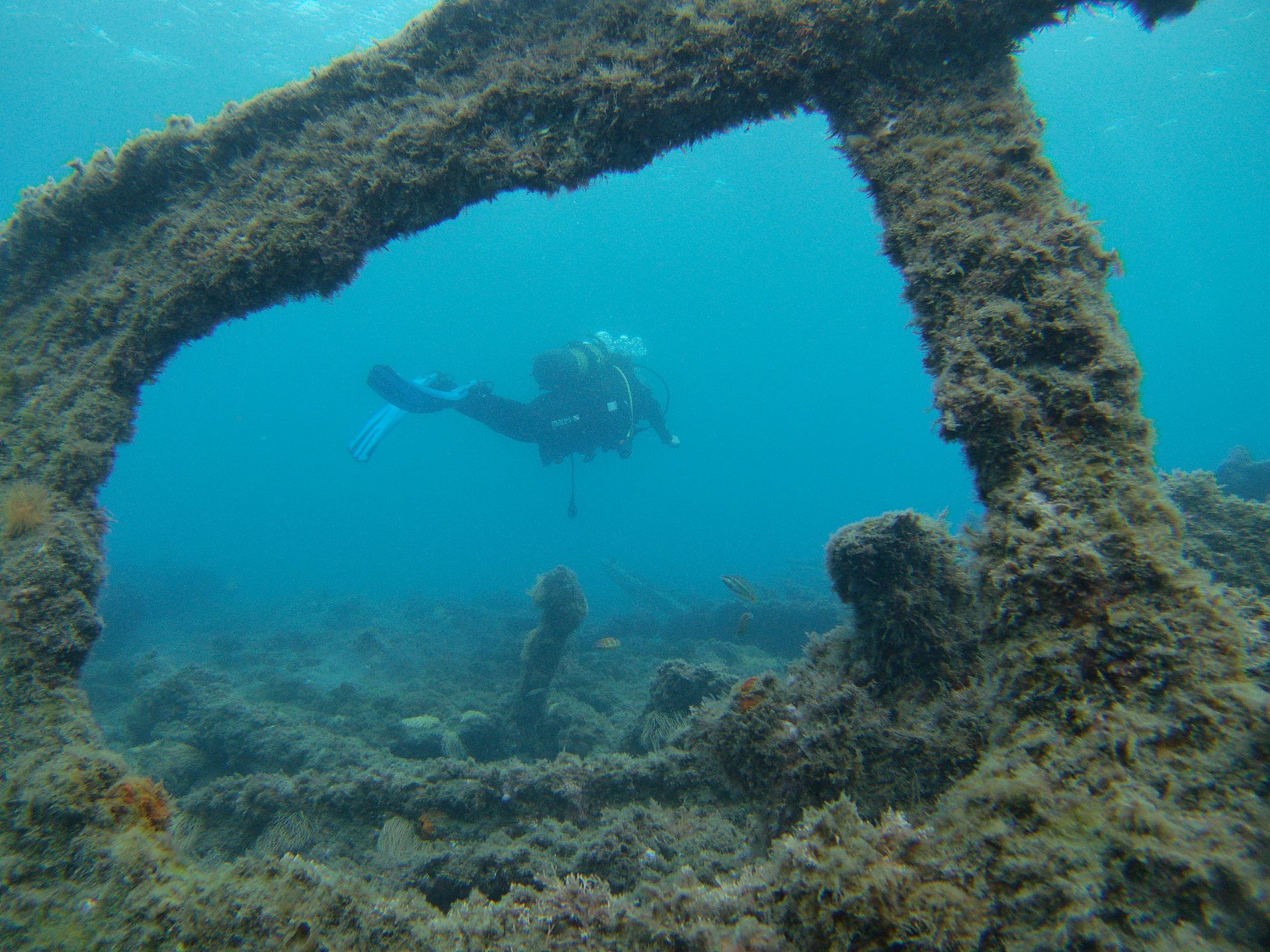 Barco del Arrroz photo 5