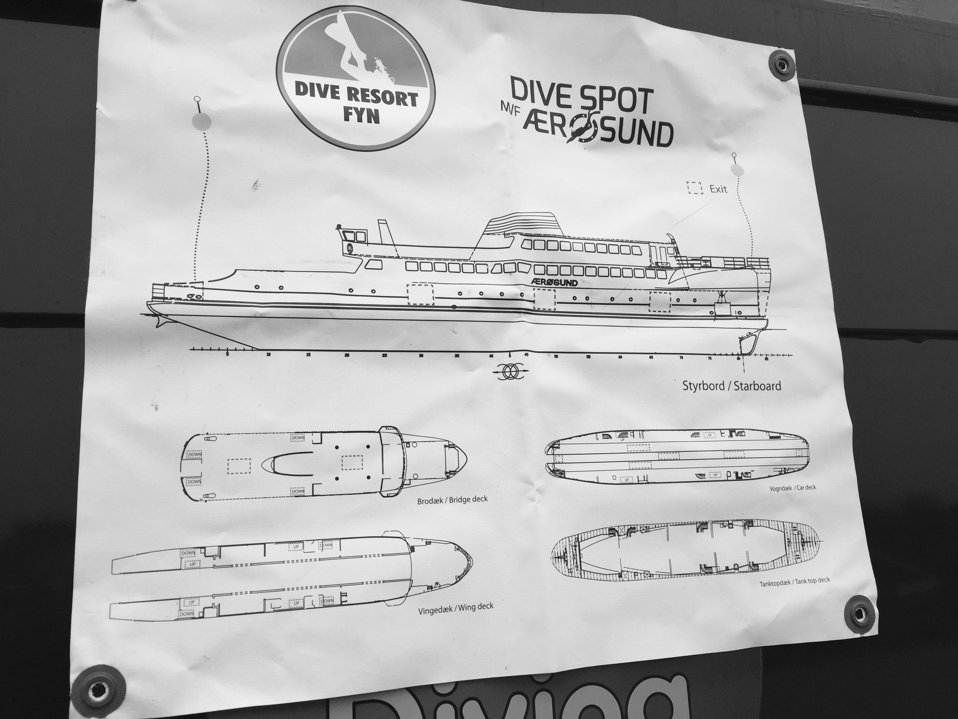 M/F Aerosund Ferry photo 6