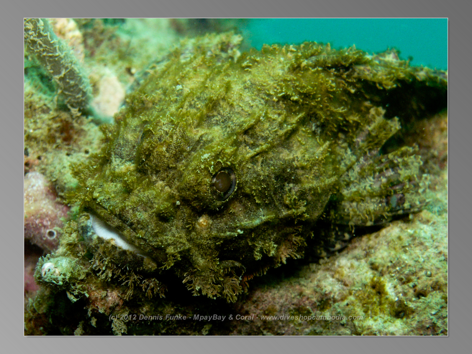 Mpai Bay photo 4