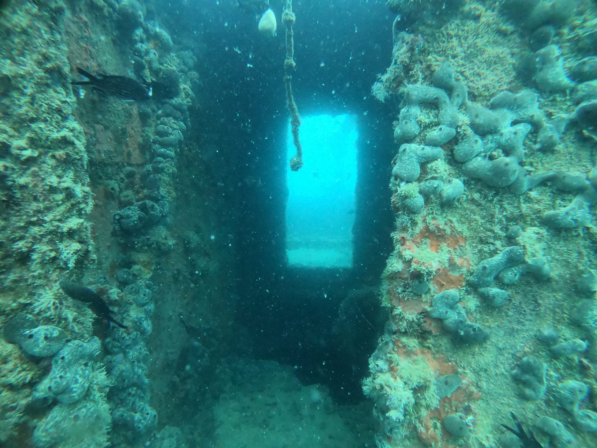 Cretaland Shipwreck photo 9