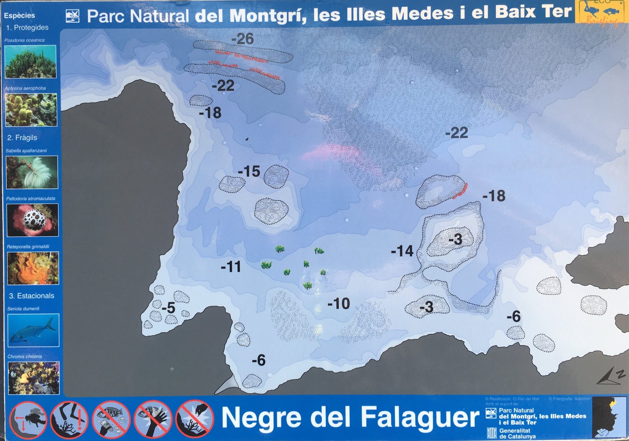 Negre del Falaguer photo 3