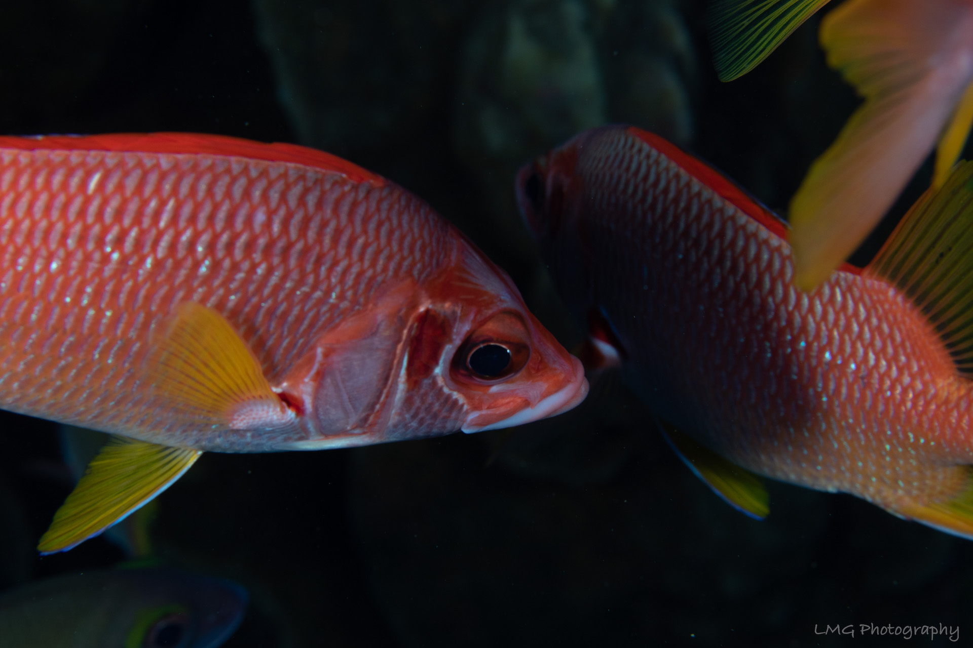 Hap's Reef photo 6