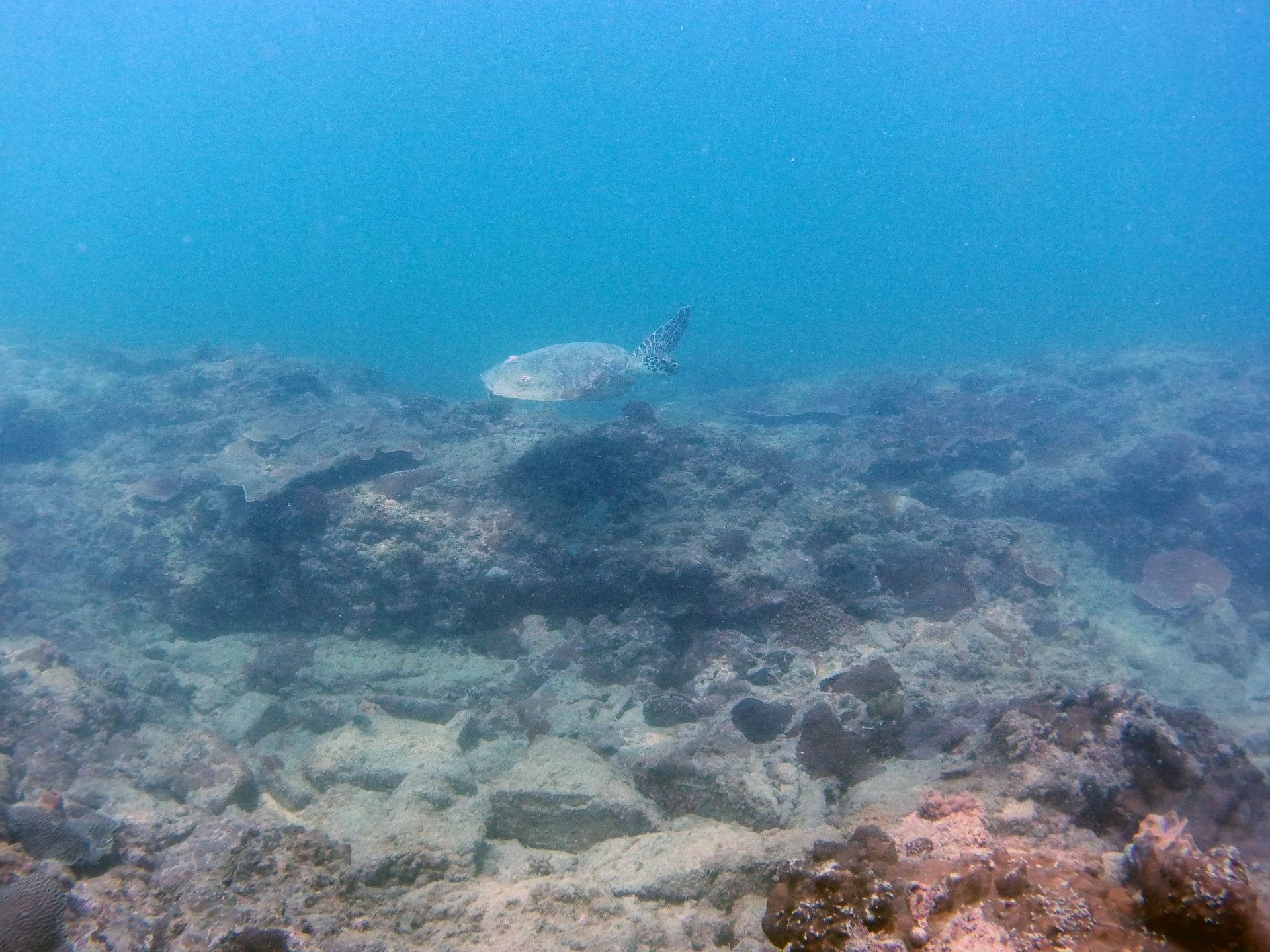 Satang Island