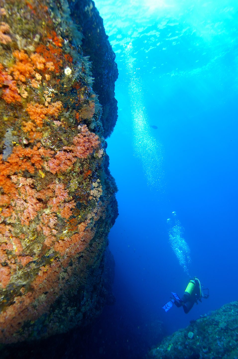 Gili Tepekong photo 6