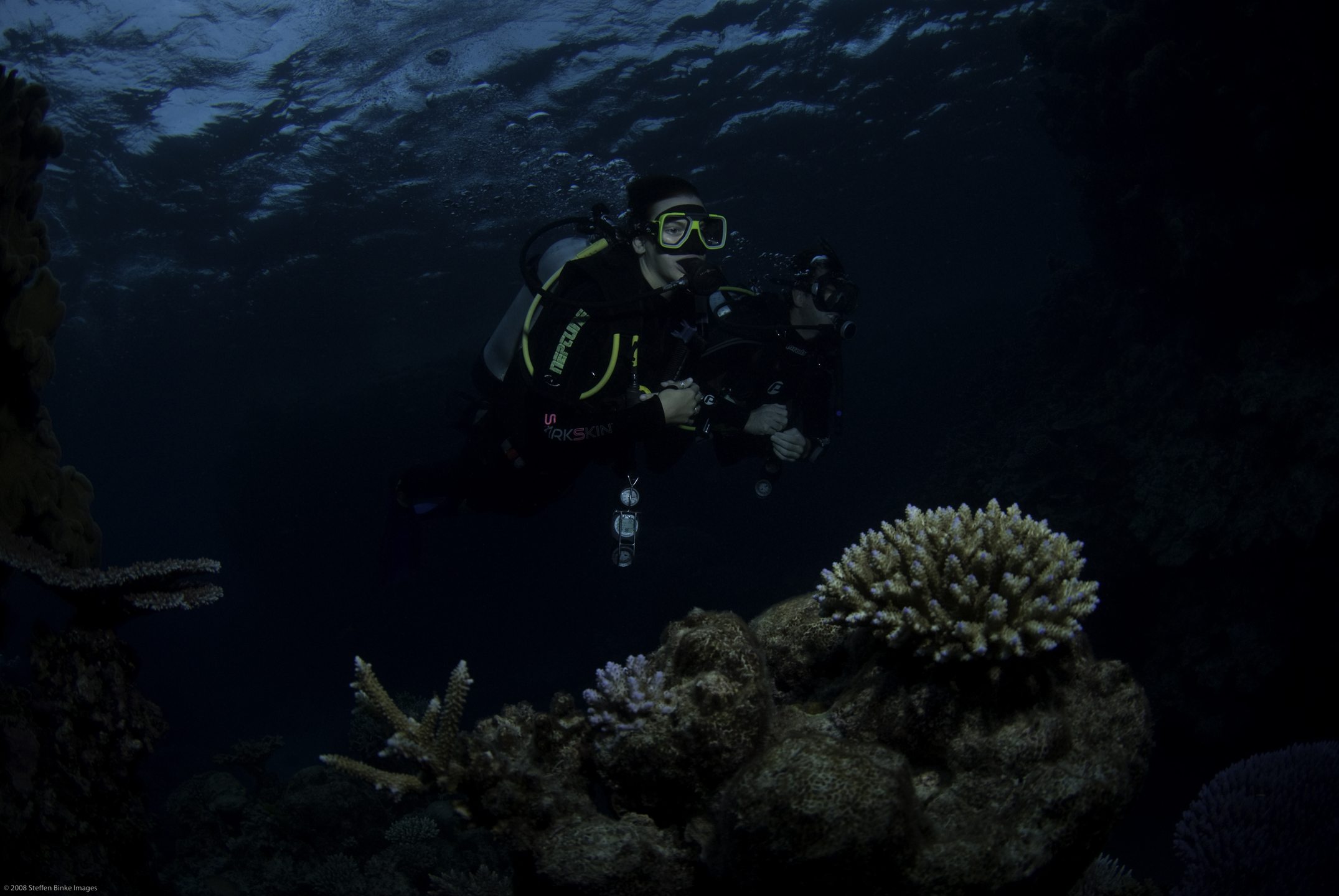 Milln Reef photo 8
