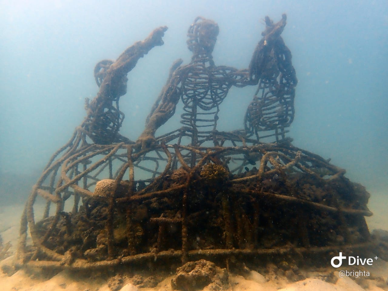 Junkyard Reef photo 2