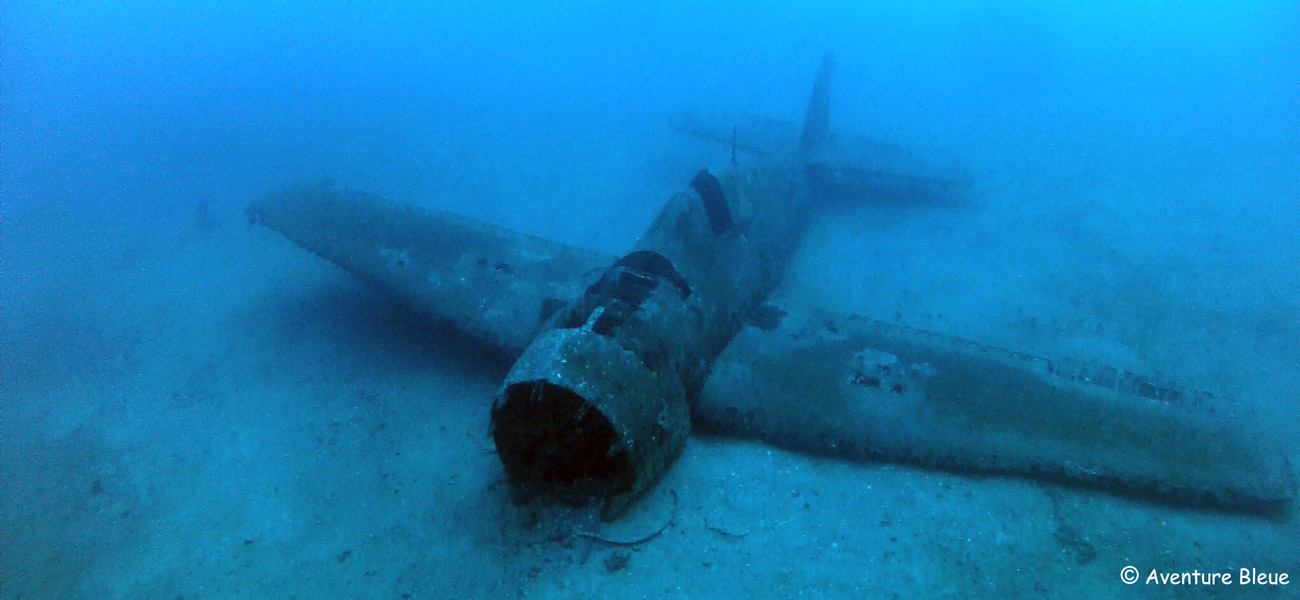 Hellcat (Grimman F6F) photo 2