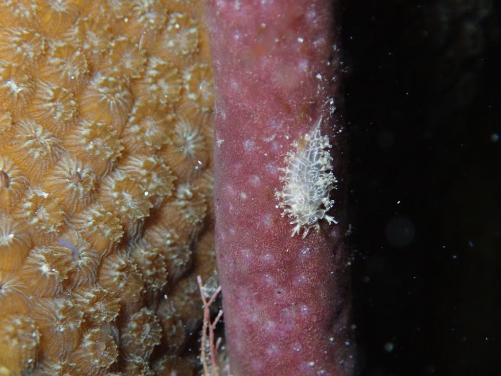 South Channel photo 2
