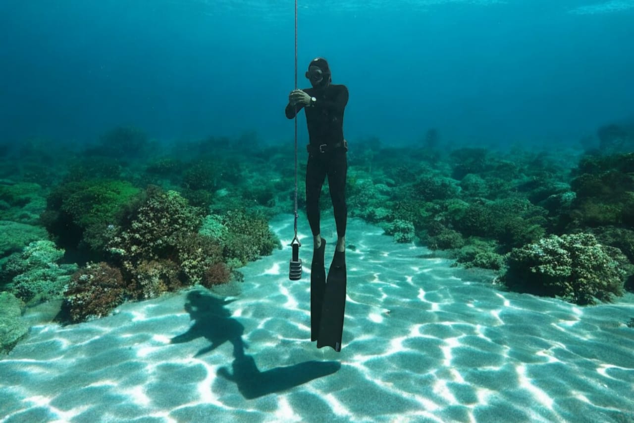 Yallow Stone Reef photo 2