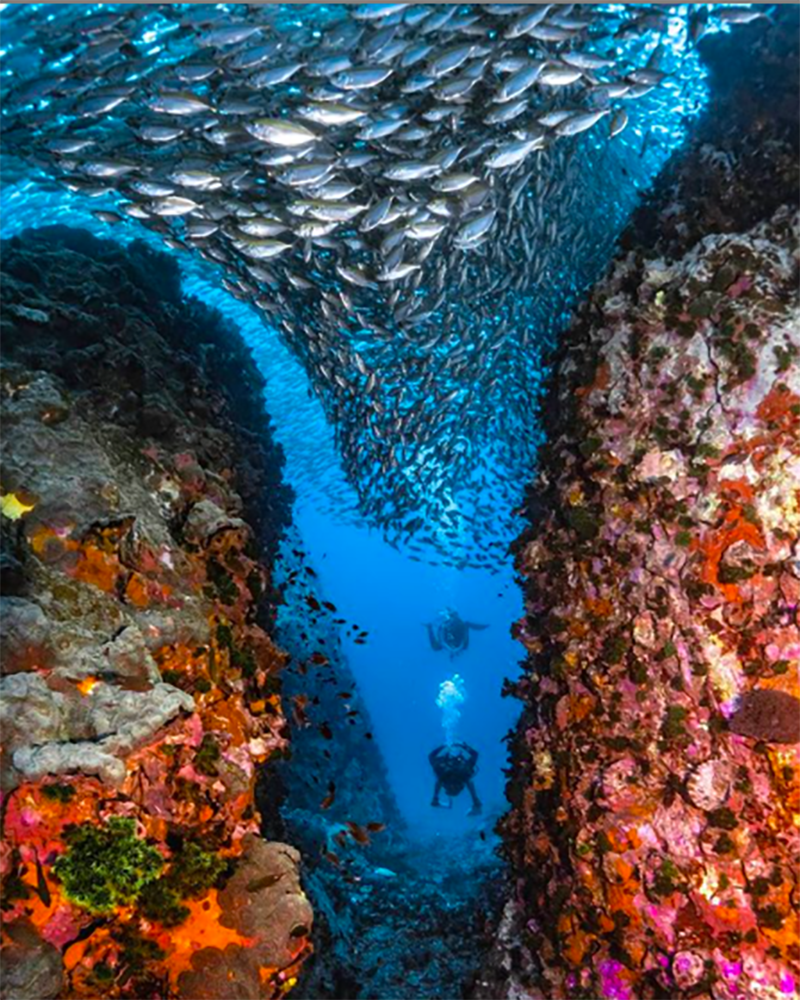 Chumphon Pinnacle photo 3