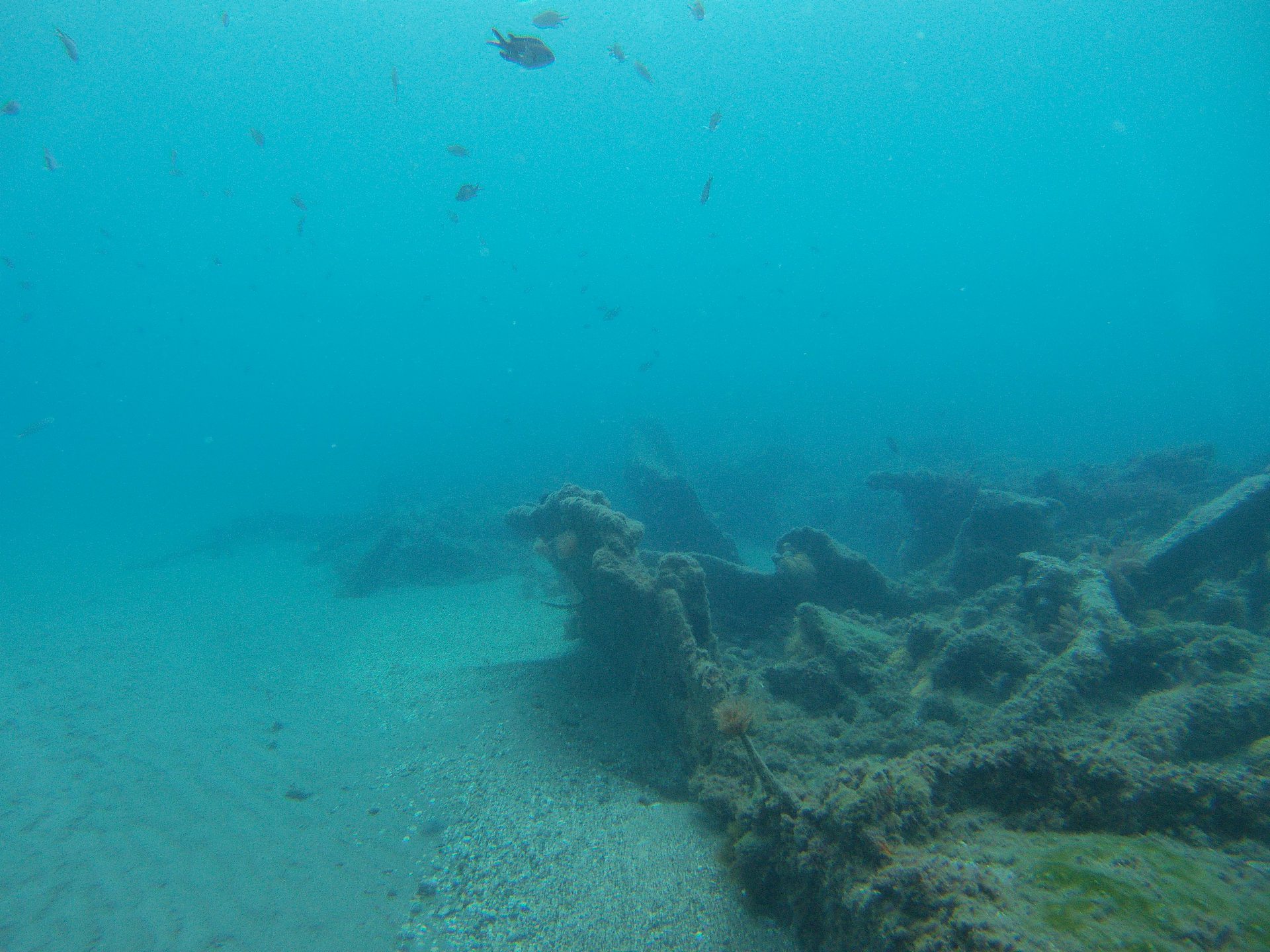 Barco del Arrroz photo 4