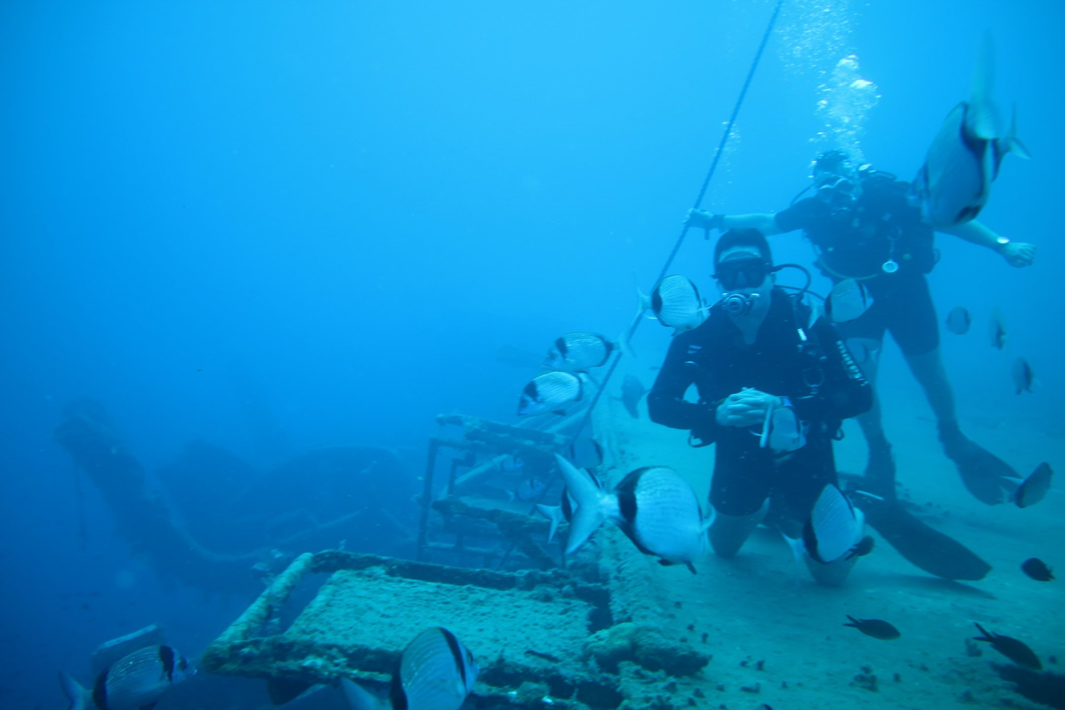The Zenobia Wreck