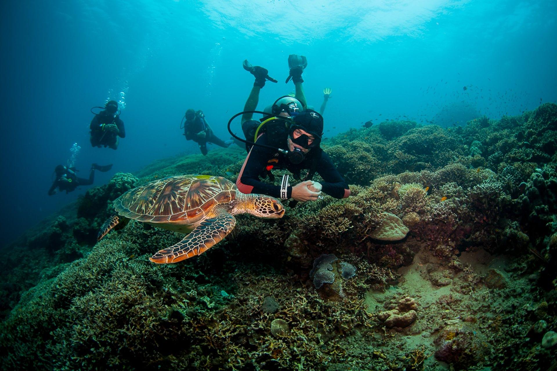 Luca Marine Santuary
