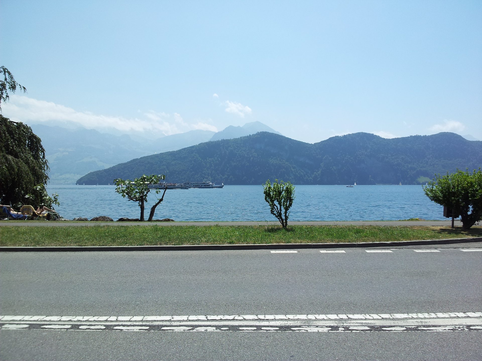 Riedsort photo 2