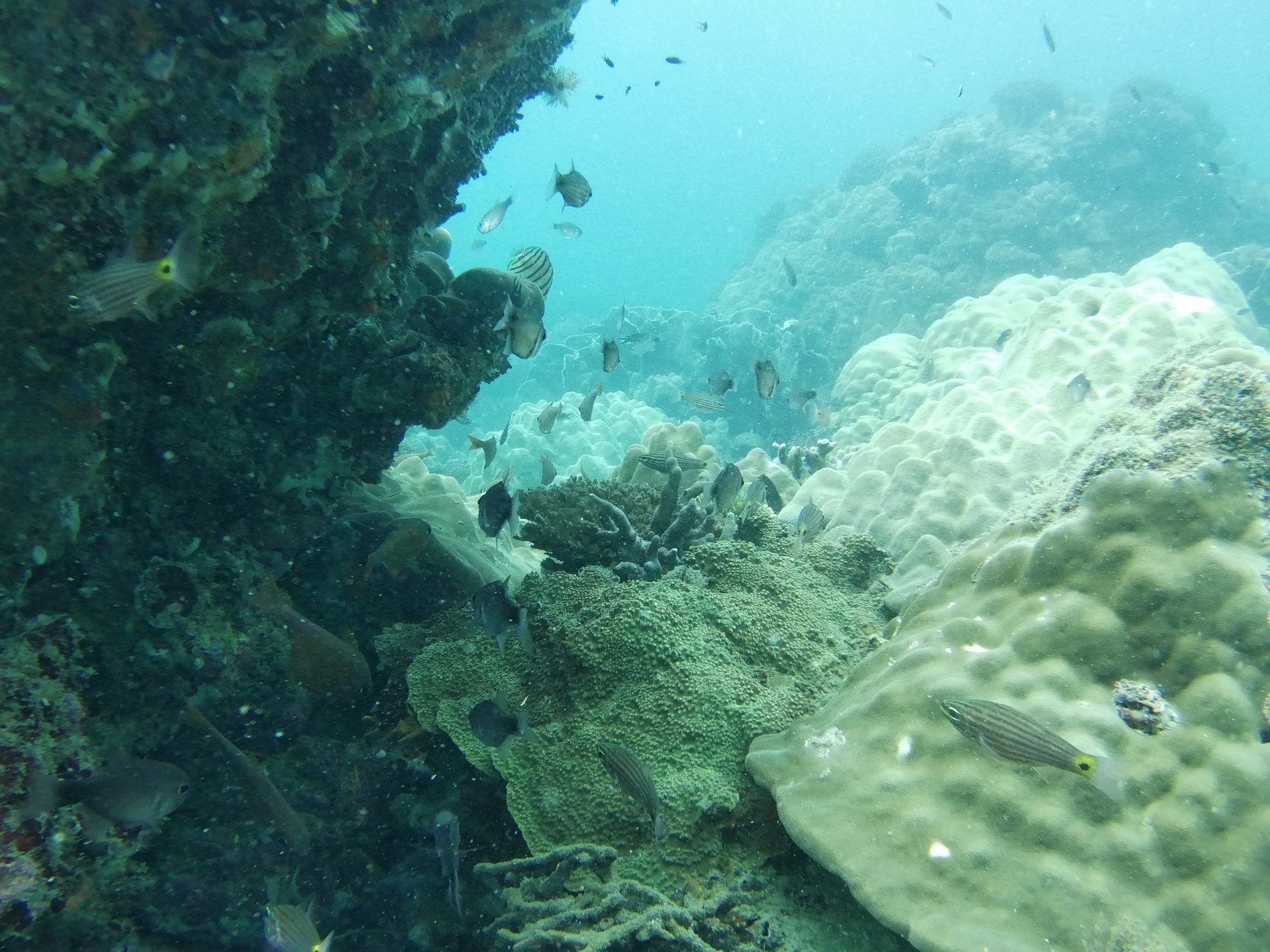 Turtle Island photo 9
