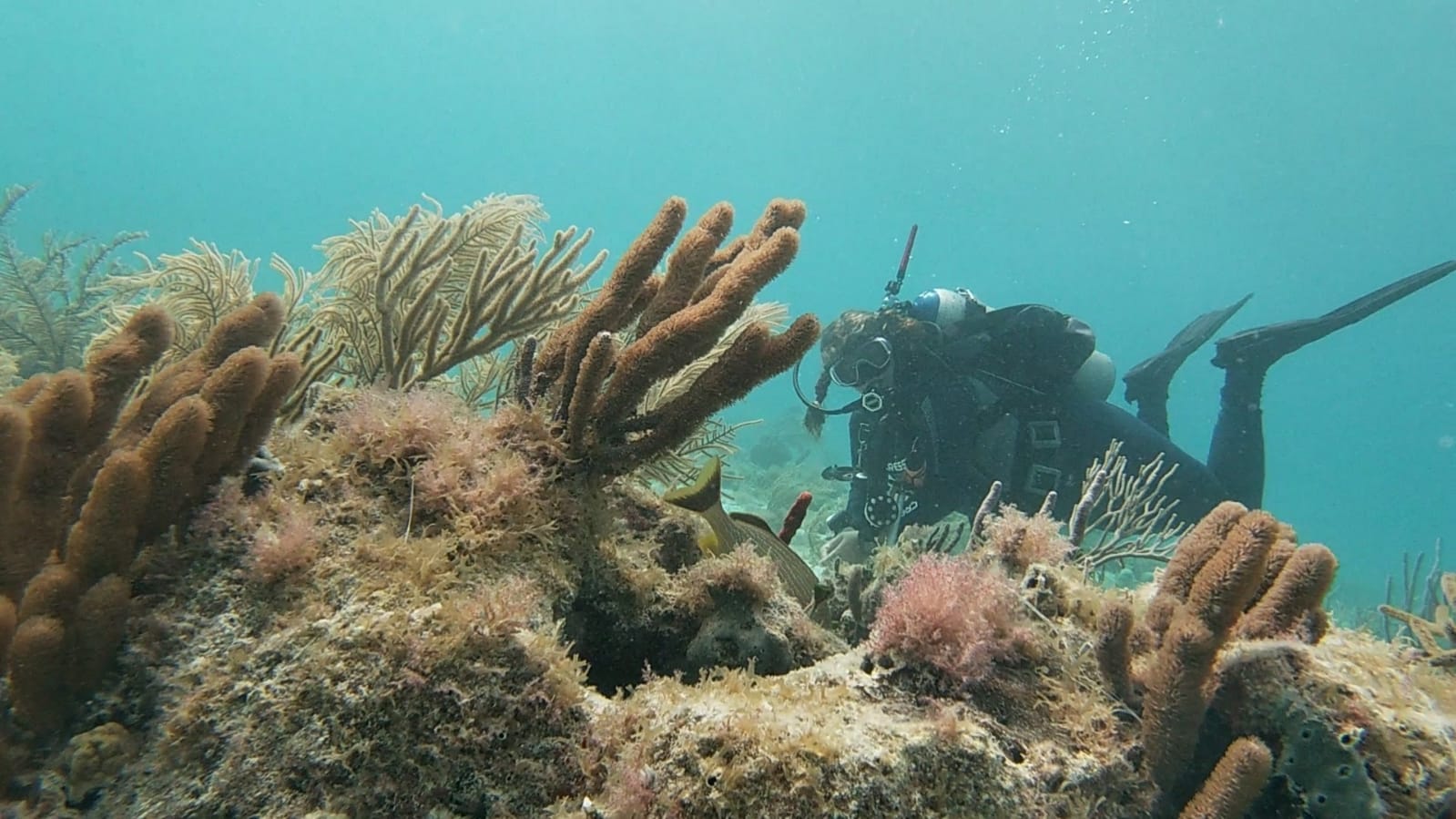 Ojo de Agua photo 3