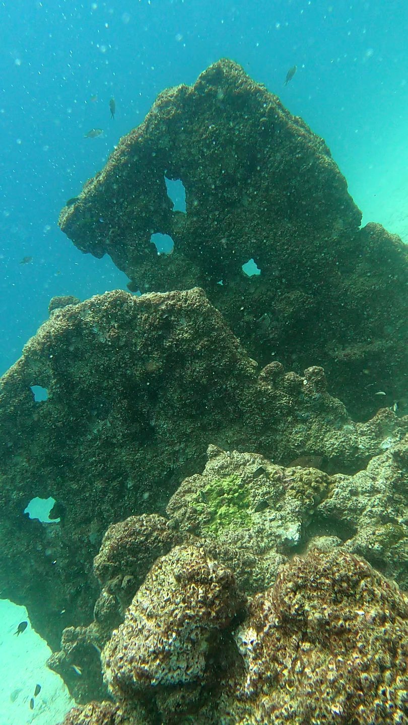 Aquarium