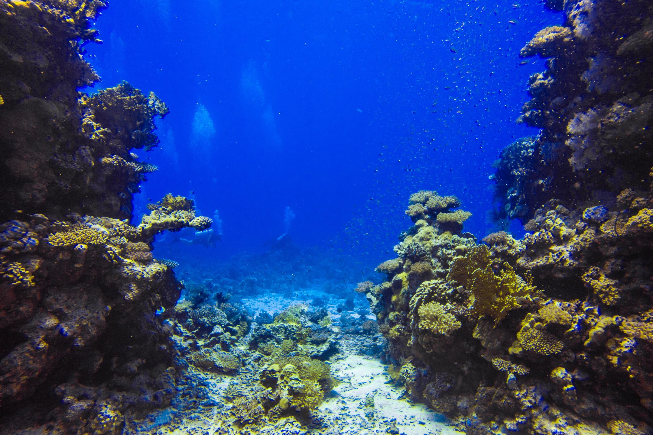 Um Halhala Divesite photo 15