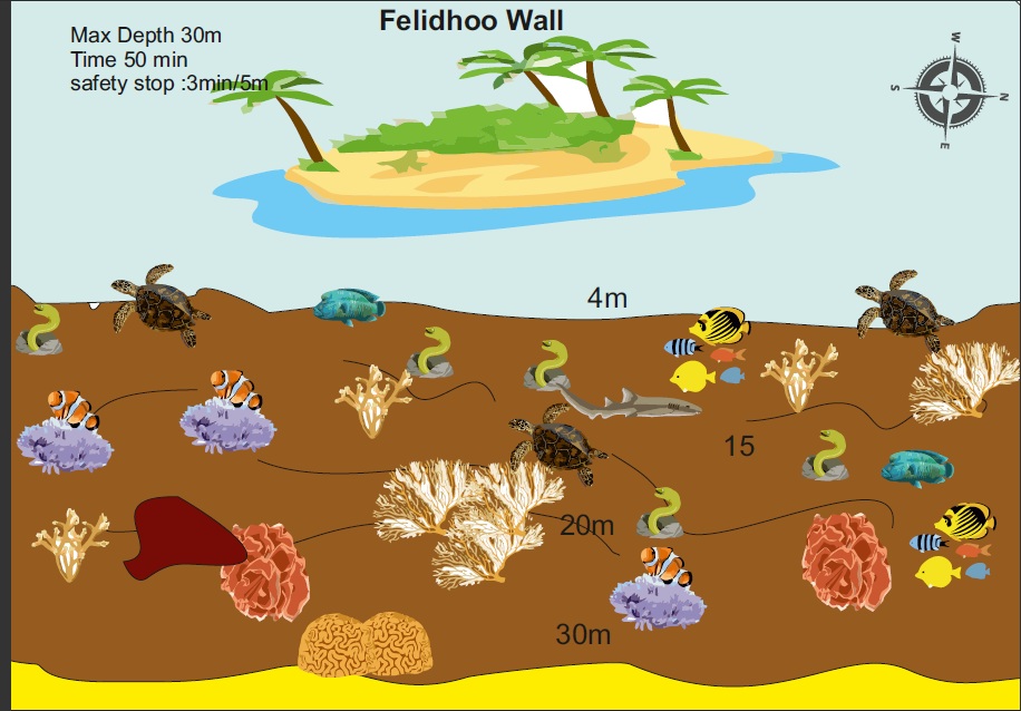 Felidhoo House Reef photo 2