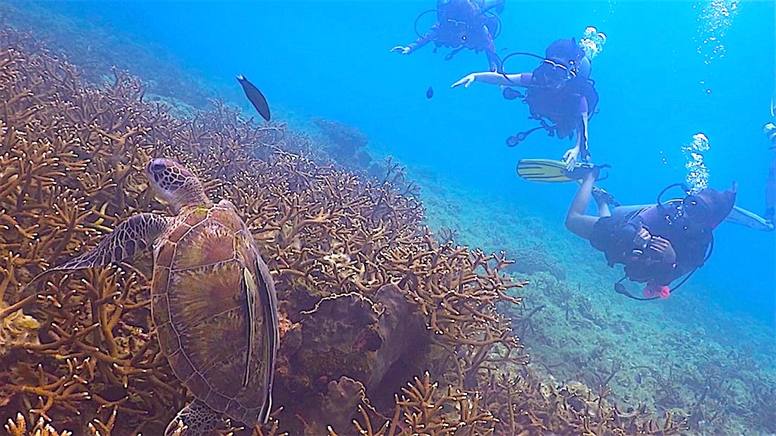 Tanote Bay photo 2
