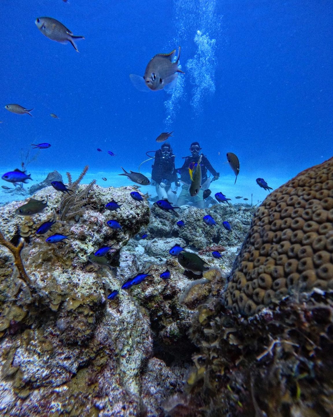 Sea Pride photo 3