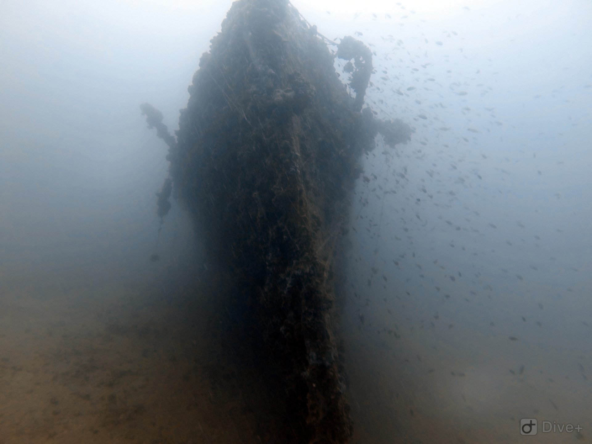 Tihani Shipwreck photo 11