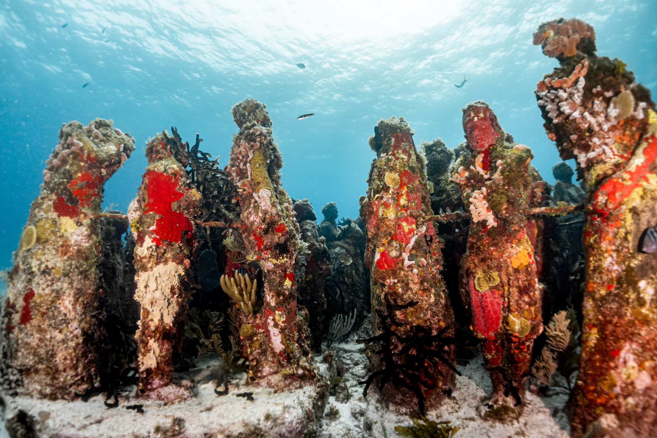 MUSA cancun underwater museum photo 13