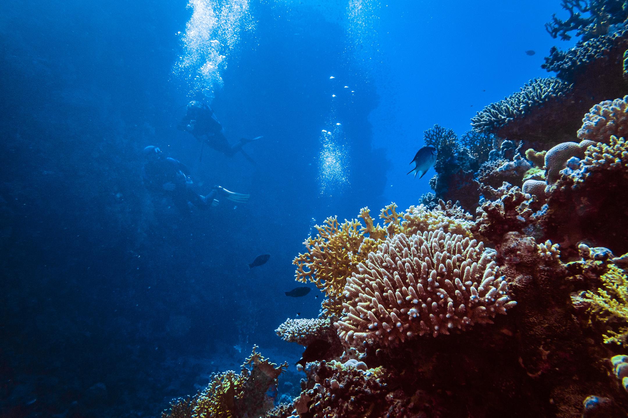 Um Halhala Divesite photo 16