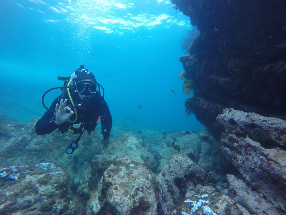 Cave Bay photo 3