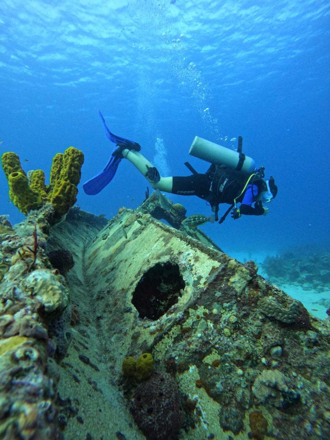 Nirvana photo 2
