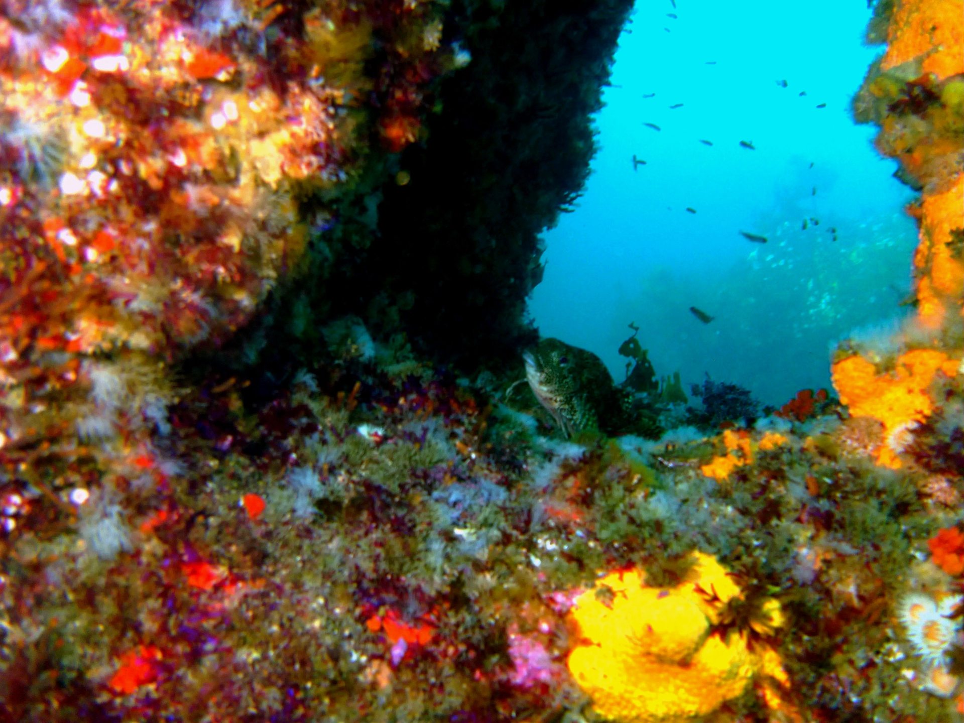 Spectacle Reef photo 2