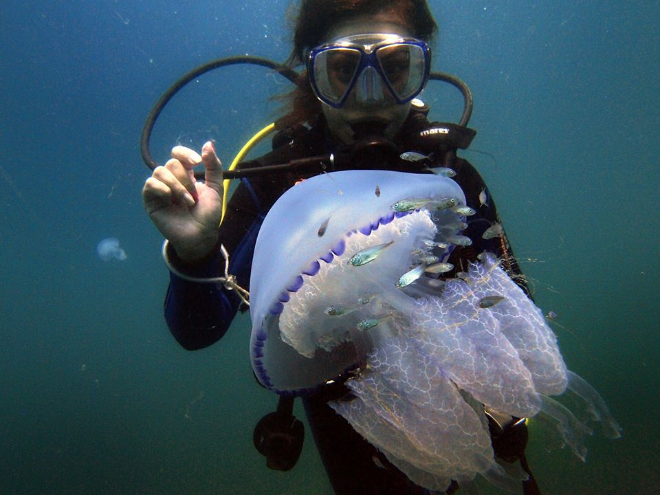 Stingray Station - Galata photo 3